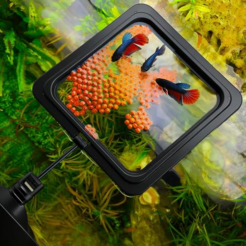 7PCS Betta Hammock & Fish Toys Set, Fish Tank Decor & Accessories for Resting Hiding Aquarium with Training Mirror and Feeding Ring