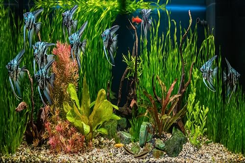 7x5ft Fish Tank Backdrop Aquarium Underwater Grass Leaves Aquatic Plant River Stone Bed Lake Fish Background Diving Holiday Fishing Party Decoration Photo Props Wallpaper
