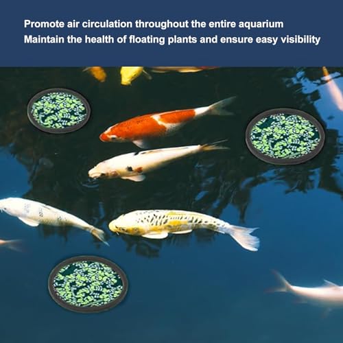 Gavigain Aquarium Feeding Ring Set, 5 Sizes, EVA Foam, Prevents Food, Promotes Water Circulation, Ideal for Fish, Turtles, Plants (10pcs Black) - color: 10pcs Black