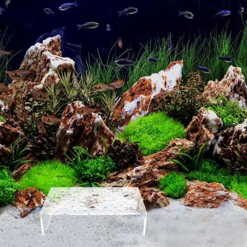 NUOBESTY Aquarium Shrimp Hideout Shelter Multiple Holes Plastic Fish Tank Decoration Breeding Cave for Shrimp and Small Fish Habitat