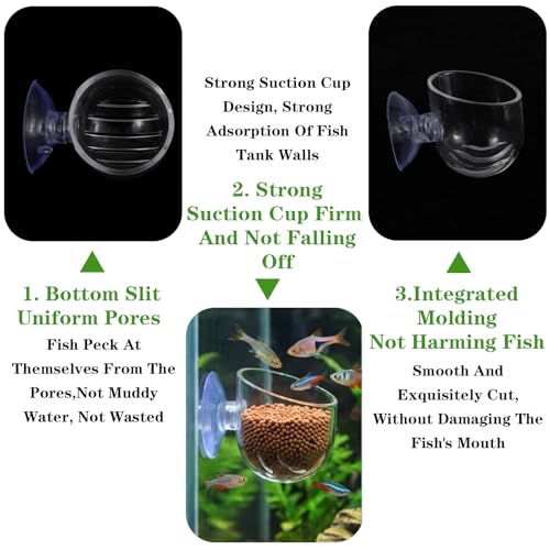 2 Pcs Aquarium Plant Holder, Live Aquarium Plants Holder with Suction Cup, Plastic Fish Tank Plant Pots, Clear Red Worm Fish Feeder for Aquascape Decoration
