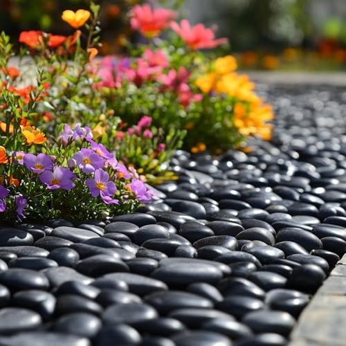 20 lbs Black River Rocks - Large Polished Black Pebbles for Plants & Garden Decorative Stones，2-3" Polished Pebbles for Landscaping, Fish Tanks, Flower Pots, Water Fountains - color: Black, size: Weight: 20 LB