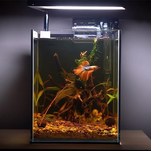 majoywoo Natural Driftwood for Aquarium Decor Fish Tank Decorations, Assorted Spider Wood Branch 4-8" 5 Pcs, Reptile Decor - size: Spiderwood 4 to 8 Inch(Pack of 5)