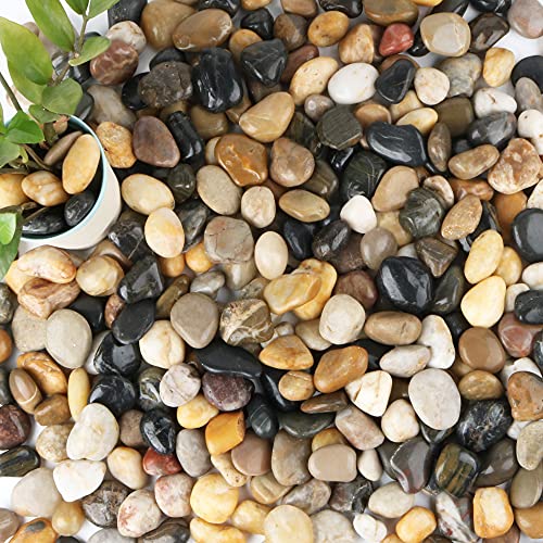 18-lb Bulk Bag Pebbles for Plants 1-1.5 ” Aquarium Gravel River Rocks Garden Outdoor Decorative Stones
