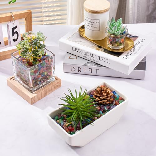 0.5 Lb/230g Multicolor Cat Eye Stones Pebbles Polished Aquarium Rocks Gravel, 7-9mm Natural Gemstones Tumbled Chips Bulk for Aquarium, Vase Fillers, Succulent Plants Decor - color: Cat Eye, size: 0.5 LB