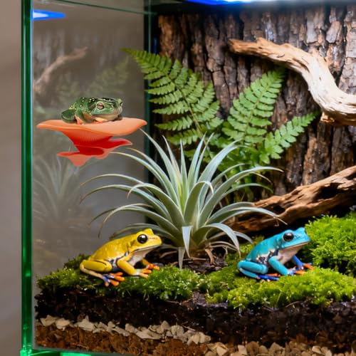 Plastic Mushroom Decorations with Magnet, Frog Habitat Platform, Reptile Decorations for Terrarium, Tree Frog Tank Accessories, Terrarium Decor