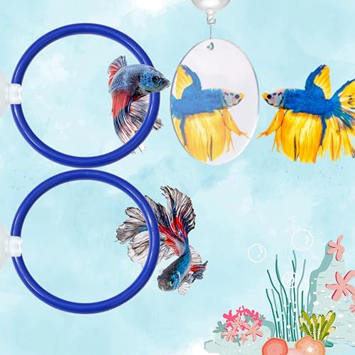 Betta Fish Enrichment Toys Ring and Mirror , Floating Exercise Mirrors And Training Ring, Floating Mirrors Aquarium With Feeding Rings, Fish Toys, Betta Fish Tank Accessories (Blue+Mirror, 6.4cm) - color: Blue+Mirror