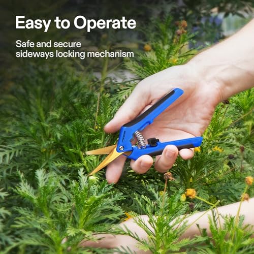 VIVOSUN 6-Pack 6.5 Inch Gardening Scissors Hand Pruner Pruning Shear with Titanium Coated Curved Precision Blades - style: Blue Curved Blade