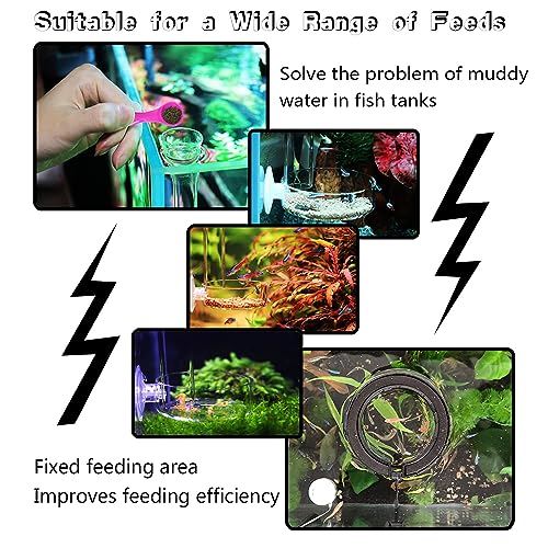 Fish Feeding Ring, Shrimp Feeding Dish, and Feed Measuring Spoon - Ideal Betta Fish Toys and Aquarium Accessories with Coral Feeder and Shrimp Tube