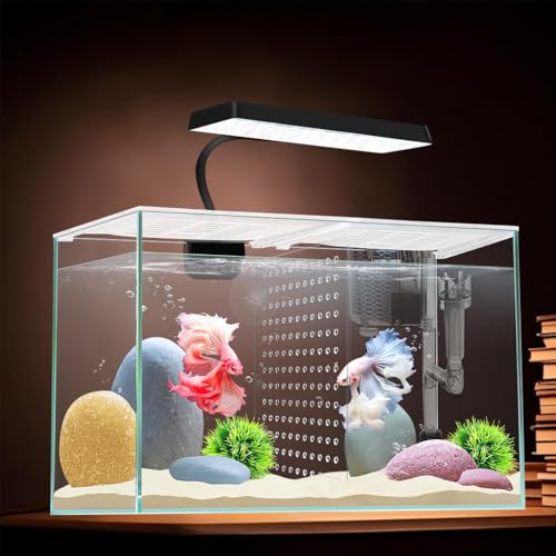 3 Gallon 12.6" L Fish Nano Glass Aquarium, with Separator Plate for Betta, Multi-Functional Square Fish Tank with Filter, LED Light, White 4mm Glass - color: Ultra-white