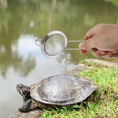 TOYANDONA 2pcs Stainless Steel Reptile Sand Substrate Scoop with Fine Mesh Sifter for Terrarium Bedding Cleaning and Sand Filtering