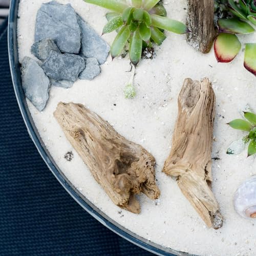 FANTIAN 10 lbs Aquarium White Sand, 0.8-2mm Coarse Sand. Small Gravel for Fish Tank, Succulent Plants Potted, Paintings, Fire Pits, Candle, Vase Filler and Crafts - color: White, size: 10 LB