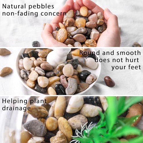 DomeStar River Rocks for Landscaping, 2lb Decorative Ornamental Pebbles Garden Landscaping Stones Gravel for Vases Fish Tank Succulent Potted Indoor Plants Crafts Home Garden Decor