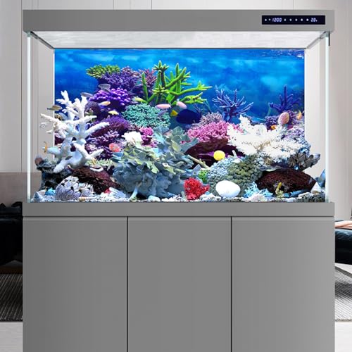 YongFoto Ocean Theme Fish Tank Background 24x16 inch Coral Seaweed Reef Rock Tropical Fish Underwater Sea World Polyester Backdrop Reptile Habitat Terrarium Aquarium Background - color: Underwater 2, size: 24x16inches