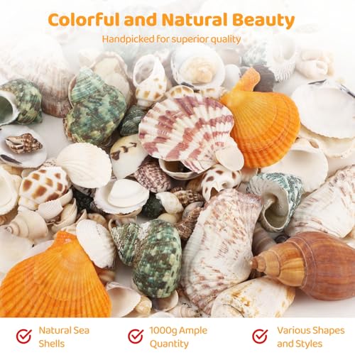 200-320 Pcs Mixed Sea Shells for Crafting, 1000 g Natural Seashells with Plastic Starfish, Various Sizes Seashells for Decoration, DIY Craft Projects, Home Decor and Fish Tank