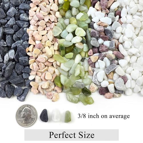 FANTIAN 2 lbs White River Rocks for Plants, 3/8 Inch Gravel Pebbles for Plants. Decorative White Stones for Succulents, Cactus, Vase and Outdoor Garden Landscaping - color: White Gravel