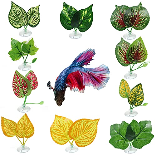 N A 10 PCS Betta Leaf Hammock Pack, Bed for Fish, Soft and Large Blue Spotted Plant Pad, Holder for Tropical Fish Aquariums and Saltwater