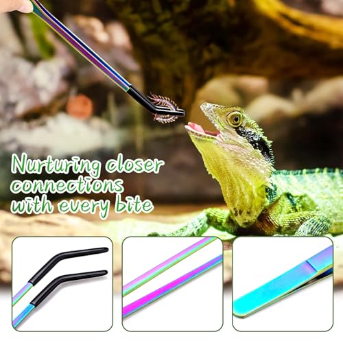 OLIISS Stainless Steel Reptile Feeding Tongs with Rubber Tip - 10.6" Straight & Curved Tweezers for Aquariums & Crafts - Feeder Tools for Bearded Dragons & Lizards - Terrarium Tank Supplies - 2 Pack - size: 10.6 Inch