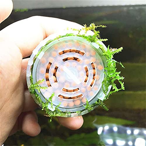 4 Pack Aquarium Moss Ball Holder, Fish Tank Moss Ball Live Plants Shaping Filter, Exotic Decor Ornaments for Aquarium Shrimp Betta Fish Tank (4 Pack)