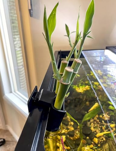 sogiv 3 Holes Aquatic Plant Cups, Hanging Aquarium Plant Holder, for Fish Tank Plants Potting, Aquascape Accessories Decorations, Black, 4 Pcs - color: Black, 4 Pcs