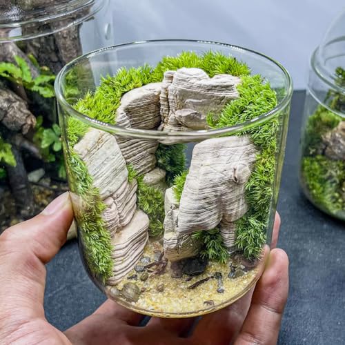 Natural Rocks Pagoda Stones 1-2.5 Inches Decorative Stones for Fairy Gardens,Miniature Landscaping,Bonsai,DIY Crafts,Aquariums & Reptile Terrariums-1lb - size: 1lb(1-2.5Inch)