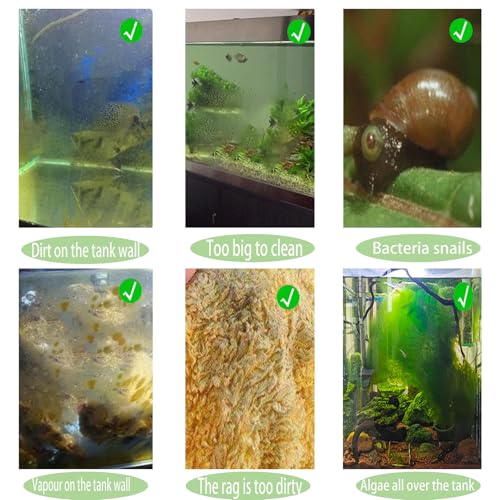 GZTFPQ Algae Scraper for Glass Aquariums, Fish Tank Cleaner, Fish Tank Accessories Aquarium Algae Scrapers with 5 Stainless Steel Blades One hexagonal screwdriver, black点击并应用