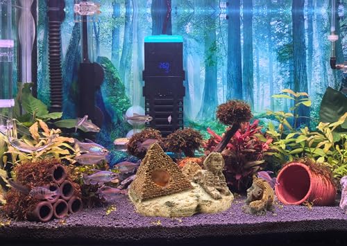 M2cbridge Aquarium Decor Castle Shipwreck Ornament Underwater Landscape(Egyptian Pyramid + Pharaoh) - color: Egyptian Pyramid + Pharaoh