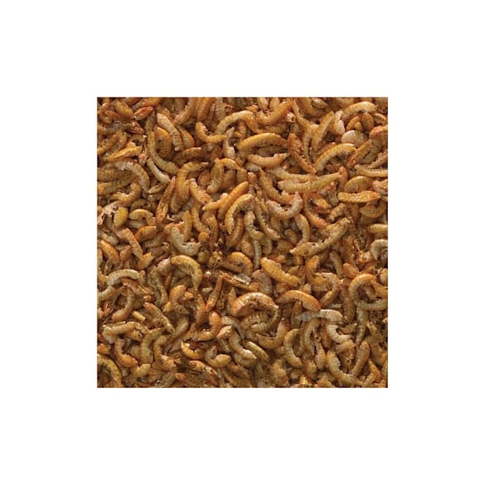 Tetra BabyShrimp 0.35 Ounce, Natural Shrimp Treat For Aquarium Fish (033197) - size: 0.35 Ounce (Pack of 1)