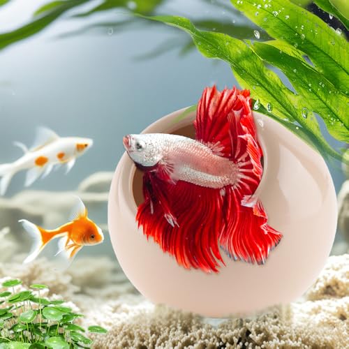 DQITJ Aquarium Decor Ceramic Cave Betta Fish Tank Hideout Stone Fast Landscape Ceramic Ornament for Fish Shrimp Turtle (Orange)