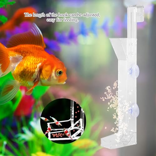 Acrylic Shrimp Feeding Tube, Shrimp Feeder Transparent Glass Shrimp Feeding Dish Tray with Suction Cups for Fish Jar Aquarium Crystal Shrimp Crabs Clams