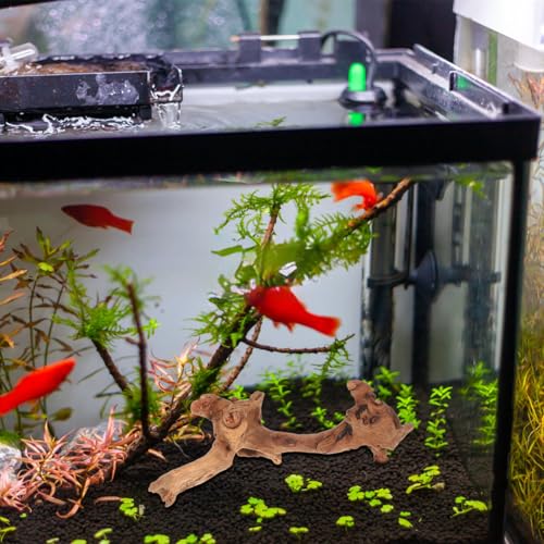 4pcs Driftwood for Fish Tank Aquarium Decor, Natural Driftwood Branches 15-20cm for Freshwater Aquascaping and Reptile Habitat Accessories