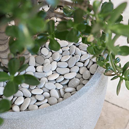 White Pebbles for Indoor Plants 2.5 LB Small River Rocks 1"-1.5" Polished Decorative Stones Smooth Aquarium Gravel for Fish Tank Vases Planters Outdoor Landscaping Garden (40oz) - size: 2.5 LB (40oz), style: White