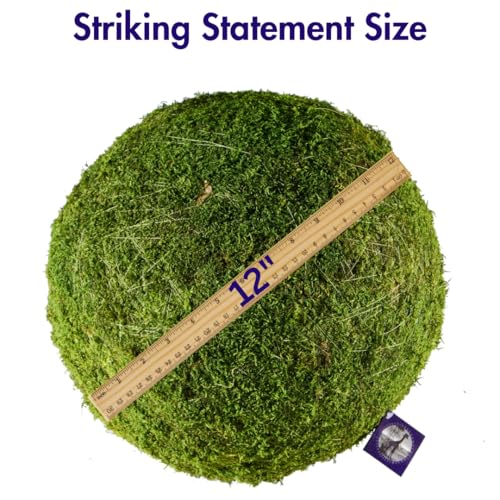 SuperMoss (21775) Moss Balls – Preserved Decorative Moss Balls for Home Décor, Vase Fillers, Centerpieces, Terrarium & Wedding Décor, Natural Green Décor, 12", Fresh Green - color: Fresh Green, size: 12"