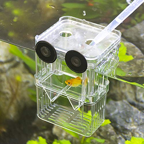 Senzeal Aquarium Fish Breeder Box Plastic Fish Isolation Breeding Box Hatching Incubator Box for Baby Fishes Shrimp Clownfish Guppy - size: Medium