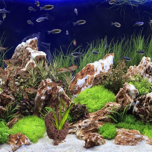 DOITOOL 6 Pcs Lava Rock for Aquarium, Volcanic Rock Pumice Stones Fish Tank Cave Decor, Aquatic Plant Fixer Anchor for Java Moss Anubias Aquascaping Shrimp Betta Turtle Tank Plants