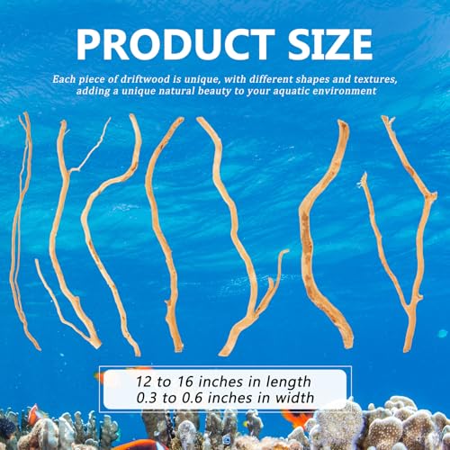 150g Natural Driftwood for Aquarium 12''-16'' Reptile Branches Terrarium Wood Long Driftwood for Aquarium Assorted Shapes Natural Decor - style: 0.33lb