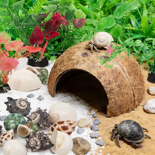 SINKOO Hermit Crab Shells Natural Coconut Shell Hut Artificial Plants 19 PCS Decoration Supplies House Tank