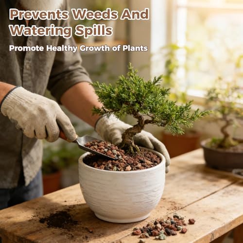 44lb Mix Lava Rocks for Plants 1/4" Horticultural Pumice for Plants, Succulent Cactus Soil Potting Mix - Horticultural Sand Aquarium Gravel Drainage Rocks for Potted Plant, Bonsai Soil, Top Dressing - size: 1/4 Inch