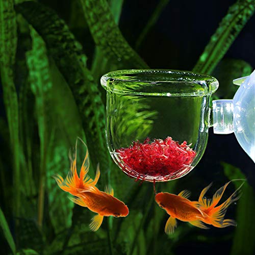 WEAVERBIRD Aquarium Glass Cone Feeder Red Worm Fish Tank Plant Shrimp Feeder Fish Feeding Cup