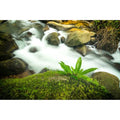 Stream Aquarium Background Rock River Green Grass Fish Tank Background Green Meadow Waterfall Big Rocks Reptile Tank Background Natural Streams Landscape Reptile Enclosure Backgrounds 24x12in - color: Warm Green, size: 24(W)x12(H)inches/ 60(W)*30cm(H)