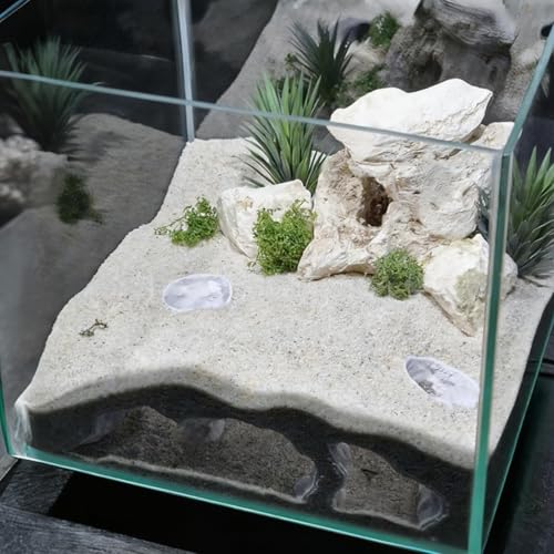 Saim Aquarium Cave Decor – 3D Printed Fish Hideout Tunnel for Betta, Guppy & Corydora Catfish – Natural Curved Shrimp Hideout with Multi-Hole Design Fish Tank Underground Corner Cave (Black, Medium)