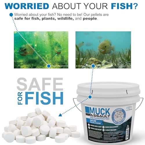 Muck Assault Sludge Remover Pellets - Natural Muck Digester with Beneficial Bacteria Enzymes to Clear Murky Water and Remove Pond Odor - Safe for Aquatic Life & Recreation (25 lbs.)