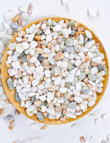 TOYPOPOR Mixed Color Decorative Rocks Stones Pebbles for Plants Garden Gravel White Rocks with Yellow, Green Pastel Accents Vase Fillers Natural Stone Top Dressing for Potted Plants Succulents 6 lbs - color: Three Colors Rocks, size: 6 lb