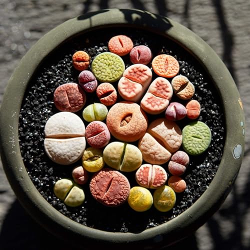 TOYPOPOR 2.2 lb Black Lava Pebble Vase Filler Pebbles Stones Crafting Floral Arranging Home Decor Decorative Colored Crushed Stones Special Black Aquarium Gravel for Freshwater Aquariums - color: Colored Galaxy, size: 2.2 lb