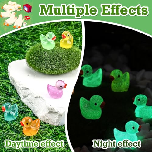 Tmtains Slime Charms Kawaii Resin Charms 3D Cute Nail Charm Mini Flatback Luminous Animal Charm Bulk Resin Jewelry Making Turtle Embellishments Supplies for Cell Phone Scrapbooking DIY Crafts - color: Db Glow in Dark Mini Ducks