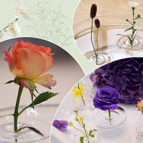 Creative Floating Floral Arrangement Holder, 2025 Innovative Floating Flower Display Stand, Flowers Arrangements Supplies, 10pcs Clear Acrylic Floating Flower Bowl Stem Holder, for Fish Tanks Table Decor (large) - size: large