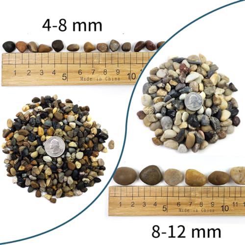 5LB Decorative River Rocks Gravel - 2/5/'' Mixed Color Gravel for Vase Filling, Flower Pot Paving. Gravel for Garden Decoration,Landscaping,Aquarium Aquascape Gravel, Fish Tanks Gravel. - size: 5LB, style: 8-12MM