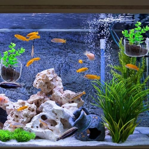 2Pcs Transparent Acrylic Aquatic Plant Cups with Suction - Aquarium Decoration 2 Shapes for Fish Tank Ornament