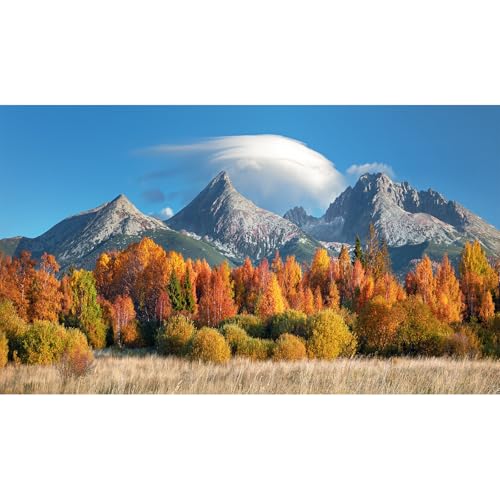 Autumn Theme Aquarium Background Mountains Blue Sky Fish Tank Background Lush Pine Trees Terrarium Backgrounds Fall Natural Landscape Style Reptile Tank Enclosur Backgrounds Wallpaper Poster 24x12in - color: Orange, size: 24(W)x12(H)inches/ 60(W)*30cm(H)