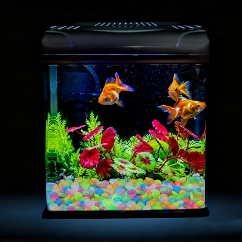 Oubest Glow in The Dark Pebbles/Glow Stones/Glowing Rocks Blue Decor for Garden/Fish Tank/Aquarium/Walkway/Driveway/Plant Pots/Bonsai (100, Multi-Colored) - color: multi-colored